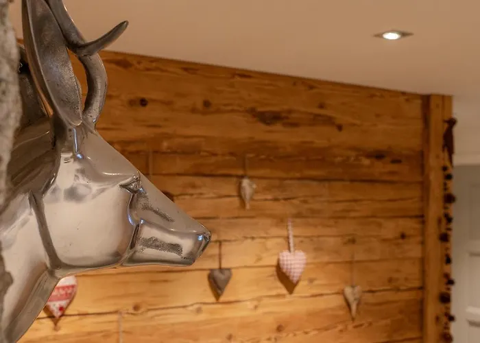 Sans Souci Og - Alpenblick & Obersee Panorama - By * 阿罗萨